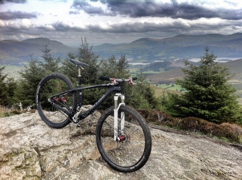 On-one_lurcher_whinlatter