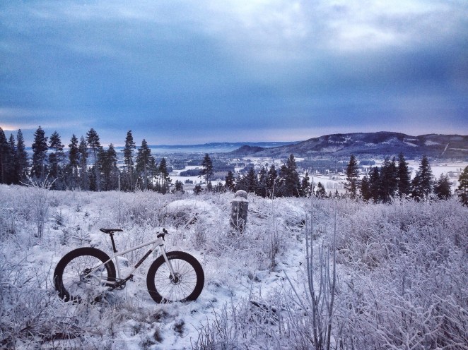 singular puffin fat bike norway