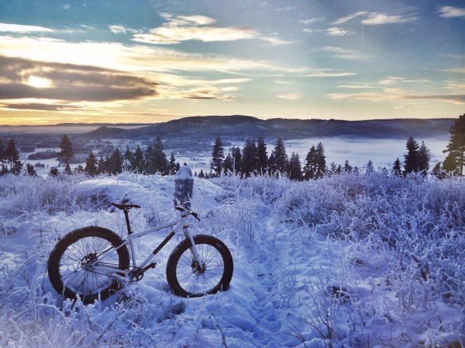 singular puffin fat bike norway
